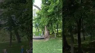 Perfect Antenna Tree Gathering Place Tulsa Oklahoma