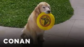Dogs Can&rsquo;t Be Trusted | CONAN on TBS