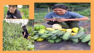 Welcome to Our Garden//Bountiful Harvest Today //Countryside Living