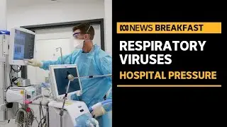 Victorian COVID hospital admissions soar as Omicron sub-variants spread | ABC News