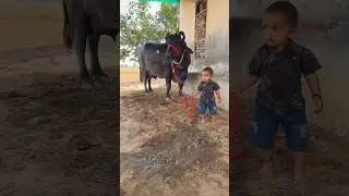 👶🏻👨&zwj;❤️&zwj;💋&zwj;👨Love You Moto | Ajay Hooda | | New Haryanvi love Song Shorts #trending #shorts