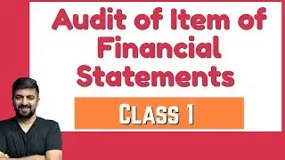 Audit of Item of Financial Statements Class 1 | CA Inter Audit Pen Drive Classes