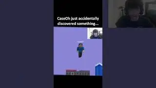Minecraft CaseOh Moment