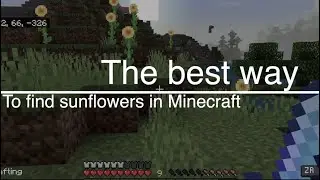 Как найти подсолнухи в Minecraft! (Лучший способ)