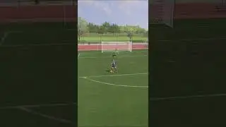 Ground scorpion