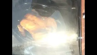 solar cooker