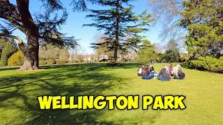 Wellington Park Walk - Good Friday walk around
