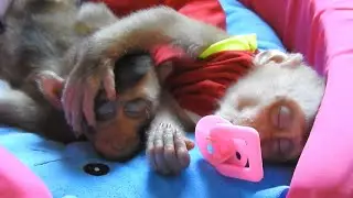 Great Time To See Ploy and Brother Fall A Sleep as Well On Bed