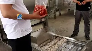 Continuous Roasting Machine And Continous Flavoring Machine