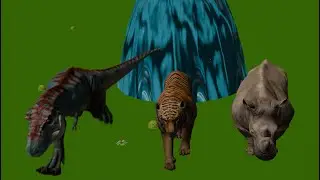 Crossing Fountain Transformation | Tiger, Leopard & Rhino