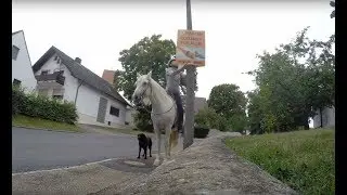 Wahlplakate aufh&auml;ngen - mal anders