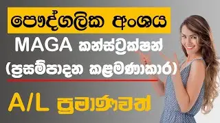Private Jobs Vacancies In Sri Lanka 2021 | Procurement Assistants &ndash; Maga Engineering Vacancies 2021