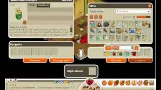 Dofus mes drop item et craft...