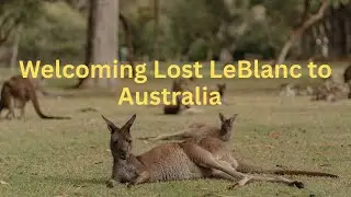 Welcoming Lost Le Blanc to Australia