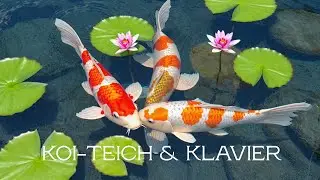 Koi-Teich mit Sanftem Klavier &ndash; Zwei Stunden Friedliche Natur und Musik