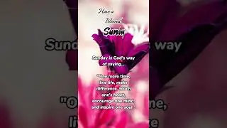 HAVE A BLESSED SUNDAY TO ALL #sunday  #blessed #youtubeshorts #shorts #quotes #haveaniceday
