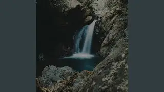 What a Life (Extended Version)