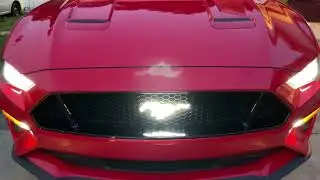 X-LUME Pony emblems