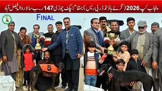 Dogs Race || Punjab Cup 2026 Greyhound Race || Final || chak Chori 147 Rb #dog  #pets #viral