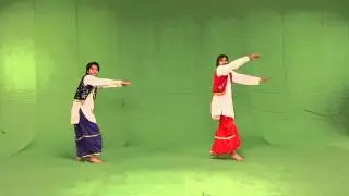 Chroma - green screen - bhangra - indian dance - punjabi bhangra stock footage free download