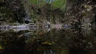 Magnutze - Muddy Mangroves (Original Mix)