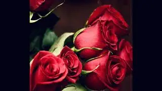 Erev Shel Shoshanim Instrumental version