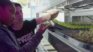 Mission: Support + Feed