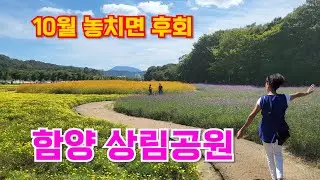 천년의 숲, 함양 상림공원, 10월에 가볼만한곳, 9월가볼만한곳, 9월 추천여행지, 10월 여행지, 경남가볼만한곳, 함양여행지추천