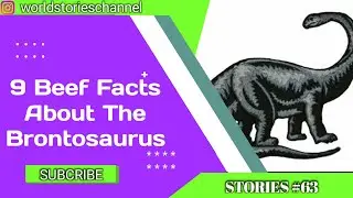 9 Beefy Facts About The Brontosaurus