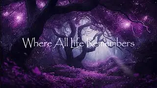 Where All Life Remembers - Inspired by Avatar