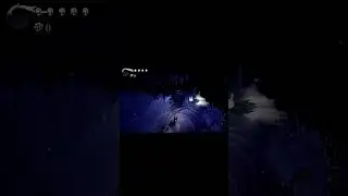SHADE SKIP PARA ACESSAR A CIDADE DAS L&Aacute;GRIMAS E FERR&Atilde;O DOS SONHOS - #hollowknight