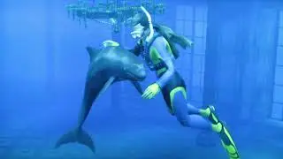 False Killer Whale Partner | Endless Ocean: Blue World