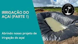 Irrigação do açaí (Parte 1)