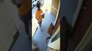 CCTV: Delivery Lady Terrified After Spotting Snake at Doorstep in Broad Daylight 🐍📦🐶