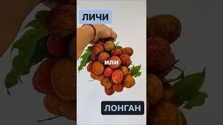 Личи или лонган | Что вкуснее | Экзотические фрукты | Обзор фруктов | Затерянные в путешествии