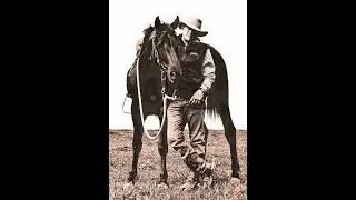 ALL MUSTANGS