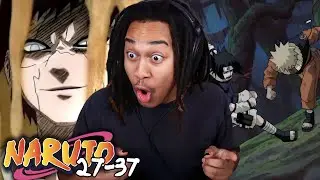 ONE PIECE FAN BINGED NARUTO: Forest of Death Arc [Chunin Exams] (REACTION)