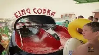 King Cobra at Crystal Water World, Antalya, Turkey