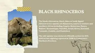 RESEARCH ABOUT EXTINCT ANIMALS, PLANTS, AND MICROORGANISMS (Group 1 presentation)