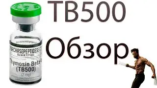 TB500 - пептид панацея для связок и суставов? Обзор Thymosin Beta 4