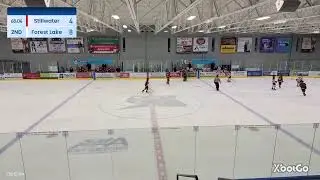 Bardown Rogers - Stillwater Peewee A vs. Forest Lake