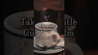 A Cup of Peace | Gentle Sounds for Calm & Relaxation ☕🌿