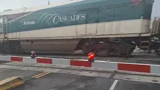 Amtrak 517 FLYING by CP. Willis, just south of Kent!