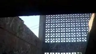 Parkour Avengers