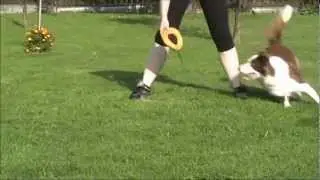 Destiny - tricks :)