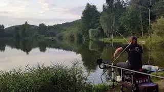 Carpe au coup , p&ecirc;che en pleine eau