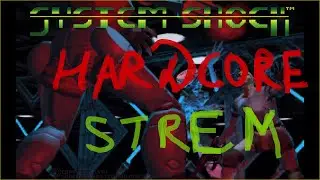 System Shock (1994) no deaths (strem 1, attempt 7-8)