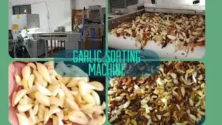 Garlic sorting machine ~ garlic sorter ~ Lahsun sorting ~ sorting machine ~ gajanand industries