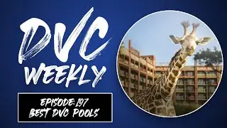DVC Point Charts, Food Review (familiar restaurant but new food) and Best DVC Pools - Episode 197