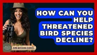 How Can You Help Threatened Bird Species Decline? - Bird Watching Diaries